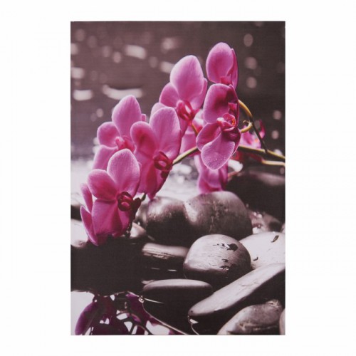 ΠΙΝΑΚΑΣ ΚΑΜΒΑΣ PINK ORCHID HM7154.12 60X90X2.5 εκ. ΠΙΝΑΚΑΣ ΚΑΜΒΑΣ PINK ORCHID HM7154.12 60X90X2.5 εκ.