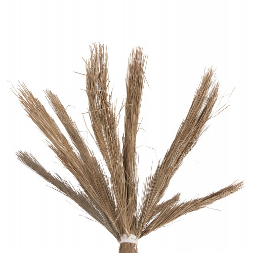 ΔΙΑΚΟΣΜΗΤΙΚΟ ΔΕΝΤΡΟ TROPIC HM4322 τ.ΦΟΙΝΙΚΑ ΑΠΟ MENDONG GRASS 360Yεκ. Διακόσμηση - Φως - Χαλιά