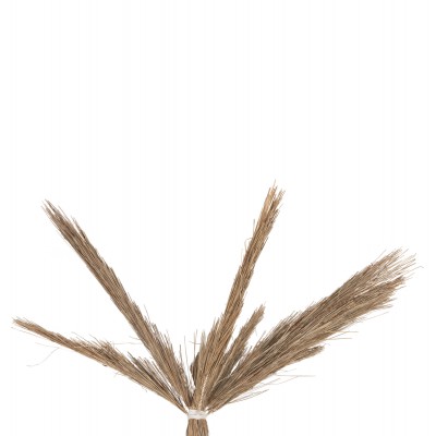ΔΙΑΚΟΣΜΗΤΙΚΟ ΔΕΝΤΡΟ TROPIC HM4323 τ.ΦΟΙΝΙΚΑ ΑΠΟ MENDONG GRASS 310Yεκ. Διακόσμηση - Φως - Χαλιά