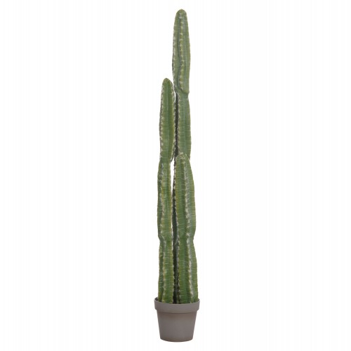 ΔΙΑΚΟΣΜΗΤΙΚΟ ΣΥΝΘΕΤΙΚΟ ΦΥΤΟ HM4741 ΚΑΚΤΟΣ ΜΕ ΓΛΑΣΤΡΑ Φ19,5x141Υεκ. Διακόσμηση - Φως - Χαλιά