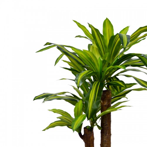 Διακοσμητικό φυτό Dracaena σε γλάστρα Inart πράσινο pp Υ110εκ Διακόσμηση - Φως - Χαλιά Διακοσμητικό φυτό Dracaena σε γλάστρα Inart πράσινο pp Υ110εκ Διακόσμηση - Φως - Χαλιά