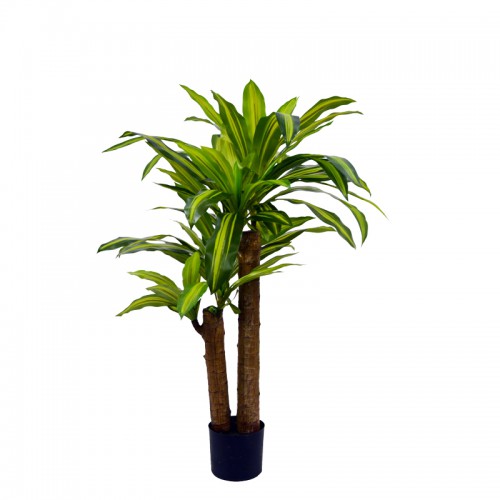 Διακοσμητικό φυτό Dracaena σε γλάστρα Inart πράσινο pp Υ110εκ Διακόσμηση - Φως - Χαλιά Διακοσμητικό φυτό Dracaena σε γλάστρα Inart πράσινο pp Υ110εκ Διακόσμηση - Φως - Χαλιά