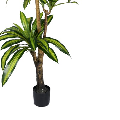 Διακοσμητικό φυτό Dracaena I σε γλάστρα Inart πράσινο pp Υ170εκ Διακοσμητικό φυτό Dracaena I σε γλάστρα Inart πράσινο pp Υ170εκ