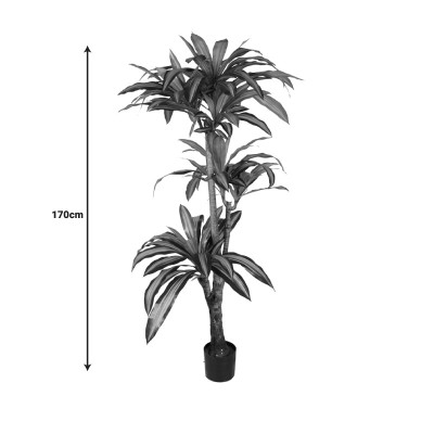 Διακοσμητικό φυτό Dracaena I σε γλάστρα Inart πράσινο pp Υ170εκ Διακοσμητικό φυτό Dracaena I σε γλάστρα Inart πράσινο pp Υ170εκ