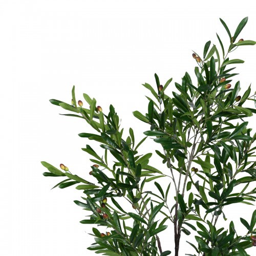 Διακοσμητικό φυτό Olive tree I σε γλάστρα Inart πράσινο pp Υ150εκ Διακοσμητικό φυτό Olive tree I σε γλάστρα Inart πράσινο pp Υ150εκ