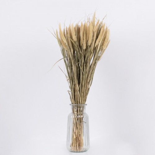 GloboStar® PENNISETUM 36503 Αποξηραμένο Φυτό Πεννήσιο - Μπουκέτο Διακοσμητικών Κλαδιών Μπεζ - Πράσινο Υ60cm - Σετ 100 τμχ GloboStar® PENNISETUM 36503 Αποξηραμένο Φυτό Πεννήσιο - Μπουκέτο Διακοσμητικών Κλαδιών Μπεζ - Πράσινο Υ60cm - Σετ 100 τμχ