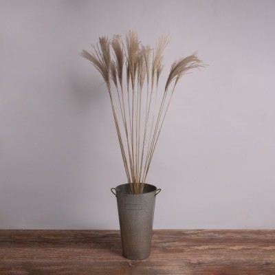 GloboStar® MISCANTHUS 36539 Αποξηραμένο Φυτό Μίσχανθος - Μπουκέτο Διακοσμητικών Κλαδιών Μπεζ Υ140cm - Σετ 10 τμχ