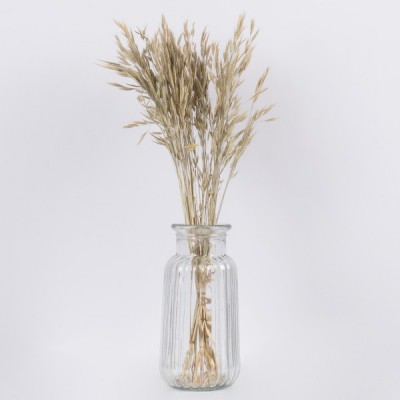 GloboStar® WHEAT 36548 Αποξηραμένο Φυτό Σίτος - Μπουκέτο Διακοσμητικών Κλαδιών Μπεζ - Πράσινο Υ60cm - Σετ 50 τμχ GloboStar® WHEAT 36548 Αποξηραμένο Φυτό Σίτος - Μπουκέτο Διακοσμητικών Κλαδιών Μπεζ - Πράσινο Υ60cm - Σετ 50 τμχ