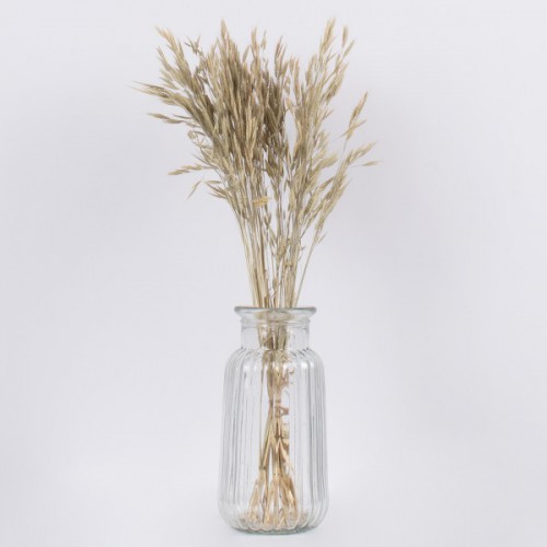 GloboStar® WHEAT 36548 Αποξηραμένο Φυτό Σίτος - Μπουκέτο Διακοσμητικών Κλαδιών Μπεζ - Πράσινο Υ60cm - Σετ 50 τμχ GloboStar® WHEAT 36548 Αποξηραμένο Φυτό Σίτος - Μπουκέτο Διακοσμητικών Κλαδιών Μπεζ - Πράσινο Υ60cm - Σετ 50 τμχ