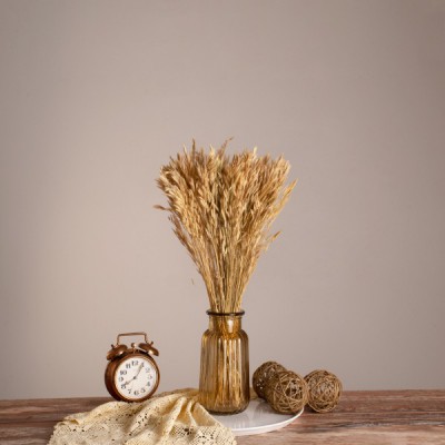 GloboStar® WHEAT 36550 Αποξηραμένο Φυτό Σίτος - Μπουκέτο Διακοσμητικών Κλαδιών Μπεζ Υ60cm - Σετ 100 τμχ GloboStar® WHEAT 36550 Αποξηραμένο Φυτό Σίτος - Μπουκέτο Διακοσμητικών Κλαδιών Μπεζ Υ60cm - Σετ 100 τμχ