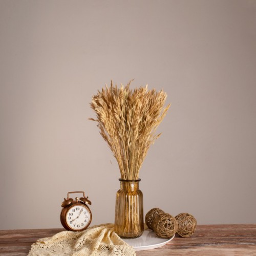 GloboStar® WHEAT 36550 Αποξηραμένο Φυτό Σίτος - Μπουκέτο Διακοσμητικών Κλαδιών Μπεζ Υ60cm - Σετ 100 τμχ GloboStar® WHEAT 36550 Αποξηραμένο Φυτό Σίτος - Μπουκέτο Διακοσμητικών Κλαδιών Μπεζ Υ60cm - Σετ 100 τμχ