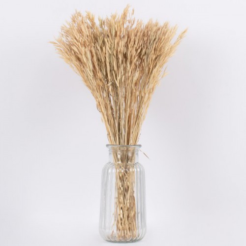 GloboStar® WHEAT 36550 Αποξηραμένο Φυτό Σίτος - Μπουκέτο Διακοσμητικών Κλαδιών Μπεζ Υ60cm - Σετ 100 τμχ GloboStar® WHEAT 36550 Αποξηραμένο Φυτό Σίτος - Μπουκέτο Διακοσμητικών Κλαδιών Μπεζ Υ60cm - Σετ 100 τμχ
