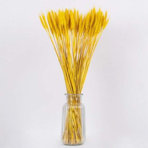 GloboStar® BARLEY 36552 Αποξηραμένο Φυτό Κριθάρι - Μπουκέτο Διακοσμητικών Κλαδιών Μπεζ - Κίτρινο Υ60cm - Σετ 105 τμχ GloboStar® BARLEY 36552 Αποξηραμένο Φυτό Κριθάρι - Μπουκέτο Διακοσμητικών Κλαδιών Μπεζ - Κίτρινο Υ60cm - Σετ 105 τμχ