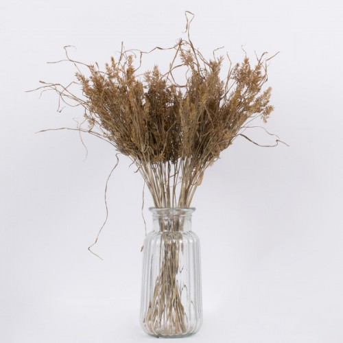 GloboStar® FERNGRASS 36556 Αποξηραμένο Φυτό Φτερόχορτο - Μπουκέτο Διακοσμητικών Κλαδιών Μπεζ Υ60cm - Σετ 50 τμχ GloboStar® FERNGRASS 36556 Αποξηραμένο Φυτό Φτερόχορτο - Μπουκέτο Διακοσμητικών Κλαδιών Μπεζ Υ60cm - Σετ 50 τμχ