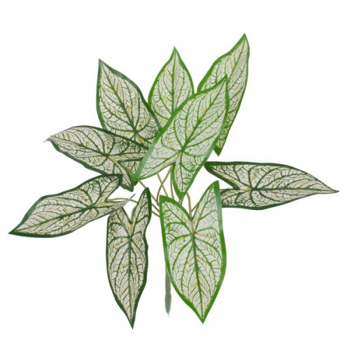 GloboStar® SYNGONIUM 78224 Τεχνητό Φυτό Συγγόνιο - Μπουκέτο Διακοσμητικών Φυτών - Κλαδιών με Φύλλωμα Πράσινο - Λευκό Υ37cm GloboStar® SYNGONIUM 78224 Τεχνητό Φυτό Συγγόνιο - Μπουκέτο Διακοσμητικών Φυτών - Κλαδιών με Φύλλωμα Πράσινο - Λευκό Υ37cm