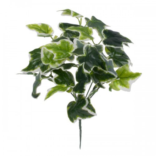 GloboStar® ALGERIAN IVY 78228 Τεχνητό Φυτό Αλγερινός Κισσός - Μπουκέτο Διακοσμητικών Φυτών - Κλαδιών με Φύλλωμα Πράσινο Υ30cm GloboStar® ALGERIAN IVY 78228 Τεχνητό Φυτό Αλγερινός Κισσός - Μπουκέτο Διακοσμητικών Φυτών - Κλαδιών με Φύλλωμα Πράσινο Υ30cm