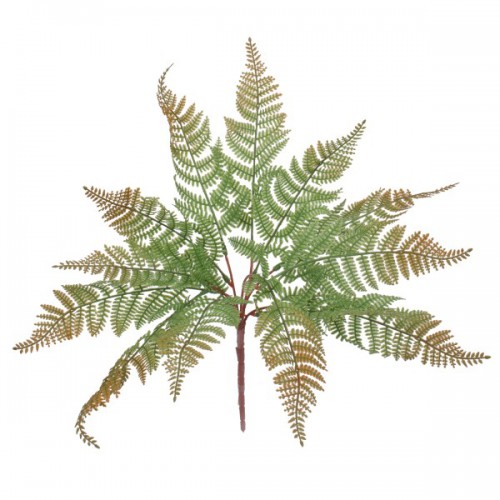 GloboStar® FERN 78269 Τεχνητό Φυτό Φτέρη - Μπουκέτο Διακοσμητικών Φυτών - Κλαδιών με Φύλλωμα Πράσινο - Καφέ Υ45cm GloboStar® FERN 78269 Τεχνητό Φυτό Φτέρη - Μπουκέτο Διακοσμητικών Φυτών - Κλαδιών με Φύλλωμα Πράσινο - Καφέ Υ45cm
