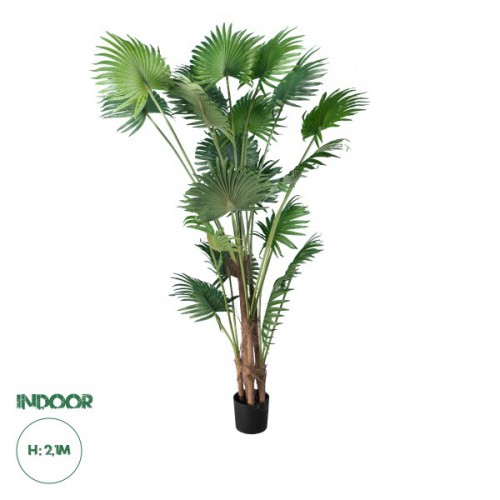 GloboStar® Artificial Garden PALM TREE 20014 Τεχνητό Διακοσμητικό Φυτό Φοινικόδεντρο Βεντάλια Υ210cm Διακόσμηση - Φωτισμός - Χαλιά GloboStar® Artificial Garden PALM TREE 20014 Τεχνητό Διακοσμητικό Φυτό Φοινικόδεντρο Βεντάλια Υ210cm Διακόσμηση - Φωτισμός - Χαλιά
