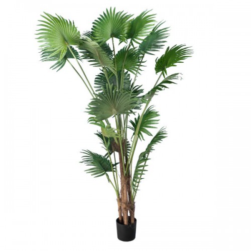 GloboStar® Artificial Garden PALM TREE 20014 Τεχνητό Διακοσμητικό Φυτό Φοινικόδεντρο Βεντάλια Υ210cm Διακόσμηση - Φωτισμός - Χαλιά GloboStar® Artificial Garden PALM TREE 20014 Τεχνητό Διακοσμητικό Φυτό Φοινικόδεντρο Βεντάλια Υ210cm Διακόσμηση - Φωτισμός - Χαλιά