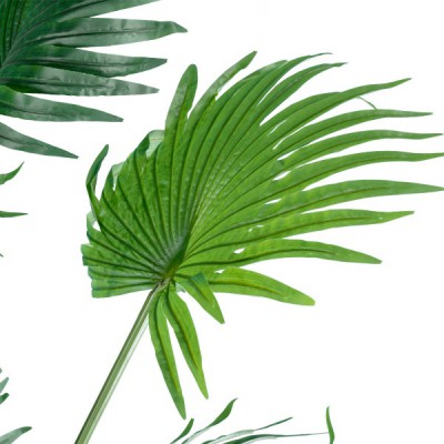 GloboStar® Artificial Garden PALM TREE 20014 Τεχνητό Διακοσμητικό Φυτό Φοινικόδεντρο Βεντάλια Υ210cm Διακόσμηση - Φωτισμός - Χαλιά GloboStar® Artificial Garden PALM TREE 20014 Τεχνητό Διακοσμητικό Φυτό Φοινικόδεντρο Βεντάλια Υ210cm Διακόσμηση - Φωτισμός - Χαλιά