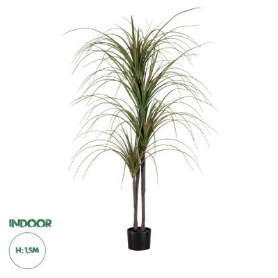 GloboStar® Artificial Garden DRAGON BLOOD TREE 20015 - Τεχνητό Διακοσμητικό Φυτό Δράκαινα Υ150cm GloboStar® Artificial Garden DRAGON BLOOD TREE 20015 - Τεχνητό Διακοσμητικό Φυτό Δράκαινα Υ150cm