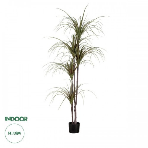 GloboStar® Artificial Garden DRAGON BLOOD TREE 20016 Τεχνητό Διακοσμητικό Φυτό Δράκαινα Υ180cm Διακόσμηση - Φωτισμός - Χαλιά GloboStar® Artificial Garden DRAGON BLOOD TREE 20016 Τεχνητό Διακοσμητικό Φυτό Δράκαινα Υ180cm Διακόσμηση - Φωτισμός - Χαλιά