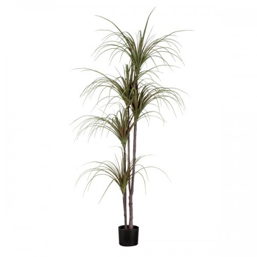 GloboStar® Artificial Garden DRAGON BLOOD TREE 20016 Τεχνητό Διακοσμητικό Φυτό Δράκαινα Υ180cm Διακόσμηση - Φωτισμός - Χαλιά GloboStar® Artificial Garden DRAGON BLOOD TREE 20016 Τεχνητό Διακοσμητικό Φυτό Δράκαινα Υ180cm Διακόσμηση - Φωτισμός - Χαλιά