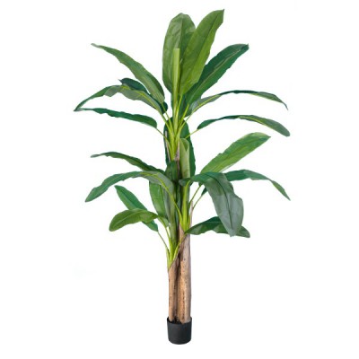 GloboStar® Artificial Garden BANANA TREE 20018 - Τεχνητό Διακοσμητικό Φυτό Μπανανιά - Μπανανόδεντρο Υ240cm GloboStar® Artificial Garden BANANA TREE 20018 - Τεχνητό Διακοσμητικό Φυτό Μπανανιά - Μπανανόδεντρο Υ240cm