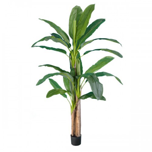 GloboStar® Artificial Garden BANANA TREE 20018 Τεχνητό Διακοσμητικό Φυτό Μπανανιά - Μπανανόδεντρο Υ240cm Διακόσμηση - Φωτισμός - Χαλιά GloboStar® Artificial Garden BANANA TREE 20018 Τεχνητό Διακοσμητικό Φυτό Μπανανιά - Μπανανόδεντρο Υ240cm Διακόσμηση - Φωτισμός - Χαλιά