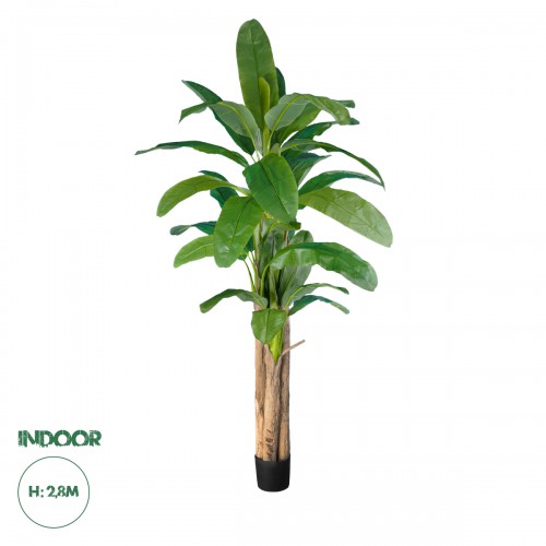 GloboStar® Artificial Garden BANANA TREE 20019 Τεχνητό Διακοσμητικό Φυτό Μπανανιά - Μπανανόδεντρο Υ280cm Διακόσμηση - Φως - Χαλιά GloboStar® Artificial Garden BANANA TREE 20019 Τεχνητό Διακοσμητικό Φυτό Μπανανιά - Μπανανόδεντρο Υ280cm Διακόσμηση - Φως - Χαλιά