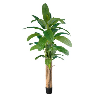 GloboStar® Artificial Garden BANANA TREE 20019 - Τεχνητό Διακοσμητικό Φυτό Μπανανιά - Μπανανόδεντρο Υ280cm GloboStar® Artificial Garden BANANA TREE 20019 - Τεχνητό Διακοσμητικό Φυτό Μπανανιά - Μπανανόδεντρο Υ280cm