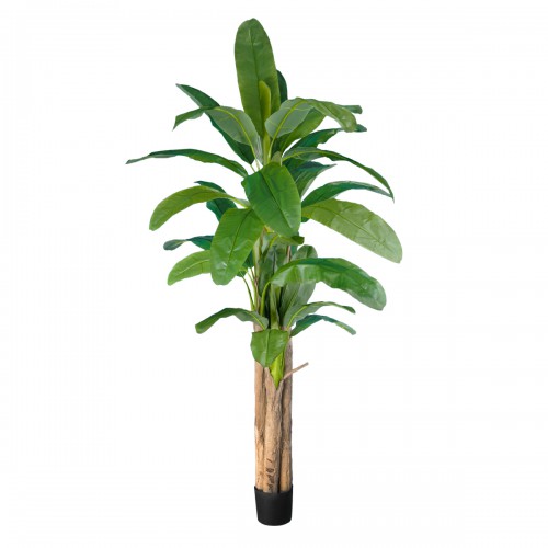 GloboStar® Artificial Garden BANANA TREE 20019 Τεχνητό Διακοσμητικό Φυτό Μπανανιά - Μπανανόδεντρο Υ280cm Διακόσμηση - Φως - Χαλιά GloboStar® Artificial Garden BANANA TREE 20019 Τεχνητό Διακοσμητικό Φυτό Μπανανιά - Μπανανόδεντρο Υ280cm Διακόσμηση - Φως - Χαλιά