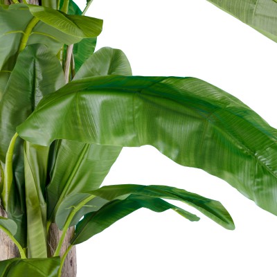 GloboStar® Artificial Garden BANANA TREE 20019 Τεχνητό Διακοσμητικό Φυτό Μπανανιά - Μπανανόδεντρο Υ280cm Διακόσμηση - Φως - Χαλιά GloboStar® Artificial Garden BANANA TREE 20019 Τεχνητό Διακοσμητικό Φυτό Μπανανιά - Μπανανόδεντρο Υ280cm Διακόσμηση - Φως - Χαλιά