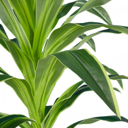 GloboStar® Artificial Garden BRAZILIAN IRON 20020 Τεχνητό Διακοσμητικό Φυτό Αρωματική Δράκαινα Υ140cm Διακόσμηση - Φωτισμός - Χαλιά GloboStar® Artificial Garden BRAZILIAN IRON 20020 Τεχνητό Διακοσμητικό Φυτό Αρωματική Δράκαινα Υ140cm Διακόσμηση - Φωτισμός - Χαλιά