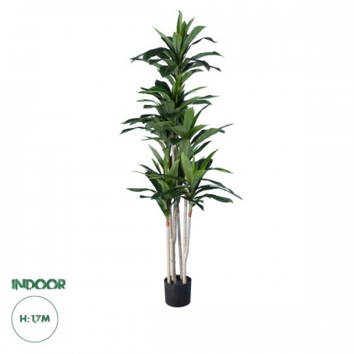 GloboStar® Artificial Garden DRACAENA SILK 20044 - Τεχνητό Διακοσμητικό Φυτό Δράκαινα Υ170cm GloboStar® Artificial Garden DRACAENA SILK 20044 - Τεχνητό Διακοσμητικό Φυτό Δράκαινα Υ170cm