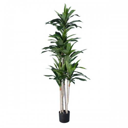 GloboStar® Artificial Garden DRACAENA SILK 20044 - Τεχνητό Διακοσμητικό Φυτό Δράκαινα Υ170cm GloboStar® Artificial Garden DRACAENA SILK 20044 - Τεχνητό Διακοσμητικό Φυτό Δράκαινα Υ170cm