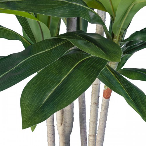 GloboStar® Artificial Garden DRACAENA SILK 20044 - Τεχνητό Διακοσμητικό Φυτό Δράκαινα Υ170cm GloboStar® Artificial Garden DRACAENA SILK 20044 - Τεχνητό Διακοσμητικό Φυτό Δράκαινα Υ170cm