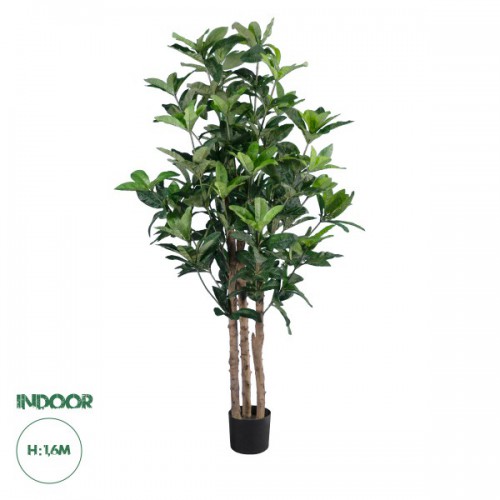 GloboStar® Artificial Garden FORTUNE GUIANA TREE 20056 Τεχνητό Διακοσμητικό Φυτό Καστανιά του Μαλαμπάρ Υ160cm Διακόσμηση - Φωτισμός - Χαλιά GloboStar® Artificial Garden FORTUNE GUIANA TREE 20056 Τεχνητό Διακοσμητικό Φυτό Καστανιά του Μαλαμπάρ Υ160cm Διακόσμηση - Φωτισμός - Χαλιά