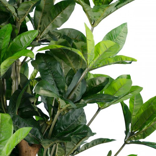 GloboStar® Artificial Garden FORTUNE GUIANA TREE 20056 Τεχνητό Διακοσμητικό Φυτό Καστανιά του Μαλαμπάρ Υ160cm Διακόσμηση - Φωτισμός - Χαλιά GloboStar® Artificial Garden FORTUNE GUIANA TREE 20056 Τεχνητό Διακοσμητικό Φυτό Καστανιά του Μαλαμπάρ Υ160cm Διακόσμηση - Φωτισμός - Χαλιά