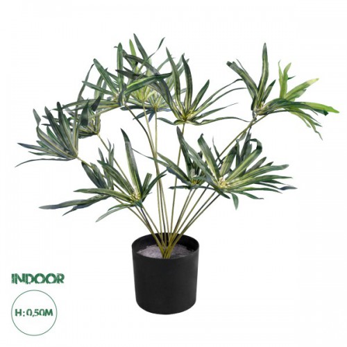 GloboStar® Artificial Garden BROADLEAF LADY PALM 20059 Τεχνητό Διακοσμητικό Φυτό Πλατύφυλλος Φοίνικας Μπαμπού Υ50cm GloboStar® Artificial Garden BROADLEAF LADY PALM 20059 Τεχνητό Διακοσμητικό Φυτό Πλατύφυλλος Φοίνικας Μπαμπού Υ50cm