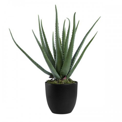GloboStar® Artificial Garden ALOE 20065 Τεχνητό Διακοσμητικό Φυτό Αλόη Υ50cm Διακόσμηση - Φωτισμός - Χαλιά GloboStar® Artificial Garden ALOE 20065 Τεχνητό Διακοσμητικό Φυτό Αλόη Υ50cm Διακόσμηση - Φωτισμός - Χαλιά