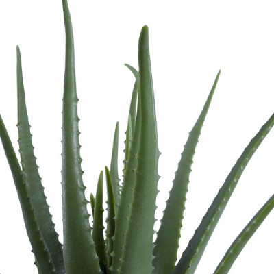 GloboStar® Artificial Garden ALOE 20065 Τεχνητό Διακοσμητικό Φυτό Αλόη Υ50cm Διακόσμηση - Φωτισμός - Χαλιά GloboStar® Artificial Garden ALOE 20065 Τεχνητό Διακοσμητικό Φυτό Αλόη Υ50cm Διακόσμηση - Φωτισμός - Χαλιά