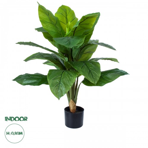 GloboStar® Artificial Garden ROHDEA JAPONICA 20068 Τεχνητό Διακοσμητικό Φυτό Ιαπωνέζικη Ροδέα Υ80cm Διακόσμηση - Φως - Χαλιά GloboStar® Artificial Garden ROHDEA JAPONICA 20068 Τεχνητό Διακοσμητικό Φυτό Ιαπωνέζικη Ροδέα Υ80cm Διακόσμηση - Φως - Χαλιά