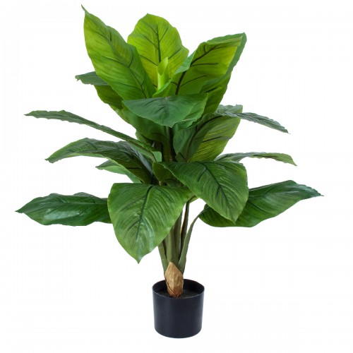 GloboStar® Artificial Garden ROHDEA JAPONICA 20068 Τεχνητό Διακοσμητικό Φυτό Ιαπωνέζικη Ροδέα Υ80cm Διακόσμηση - Φως - Χαλιά GloboStar® Artificial Garden ROHDEA JAPONICA 20068 Τεχνητό Διακοσμητικό Φυτό Ιαπωνέζικη Ροδέα Υ80cm Διακόσμηση - Φως - Χαλιά