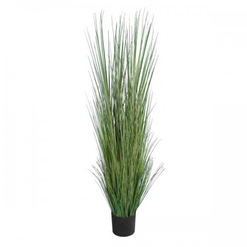 GloboStar® Artificial Garden PAMPAS GRASS 20071 Τεχνητό Διακοσμητικό Φυτό Γρασίδι της Πάμπας Υ150cm GloboStar® Artificial Garden PAMPAS GRASS 20071 Τεχνητό Διακοσμητικό Φυτό Γρασίδι της Πάμπας Υ150cm