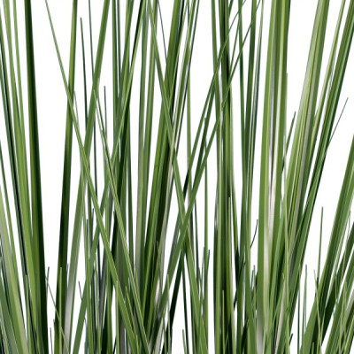 GloboStar® Artificial Garden PAMPAS GRASS 20071 Τεχνητό Διακοσμητικό Φυτό Γρασίδι της Πάμπας Υ150cm GloboStar® Artificial Garden PAMPAS GRASS 20071 Τεχνητό Διακοσμητικό Φυτό Γρασίδι της Πάμπας Υ150cm