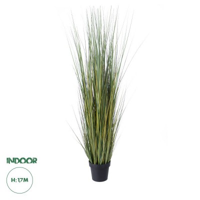 GloboStar® Artificial Garden PAMPAS GRASS 20072 Τεχνητό Διακοσμητικό Φυτό Γρασίδι της Πάμπας Υ170cm GloboStar® Artificial Garden PAMPAS GRASS 20072 Τεχνητό Διακοσμητικό Φυτό Γρασίδι της Πάμπας Υ170cm