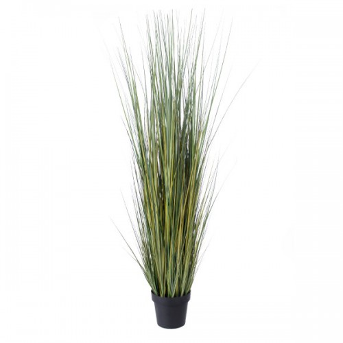 GloboStar® Artificial Garden PAMPAS GRASS 20072 Τεχνητό Διακοσμητικό Φυτό Γρασίδι της Πάμπας Υ170cm GloboStar® Artificial Garden PAMPAS GRASS 20072 Τεχνητό Διακοσμητικό Φυτό Γρασίδι της Πάμπας Υ170cm