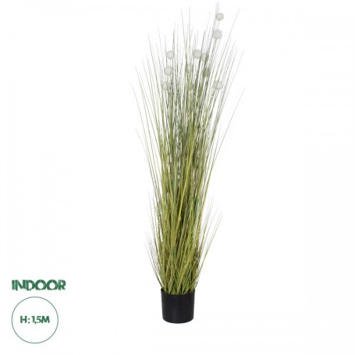 GloboStar® Artificial Garden ERIOPHORUM ANGUSTIFOLIUM COTTON GRASS 20073 Τεχνητό Διακοσμητικό Φυτό Γρασίδι του Βαμβακιού Υ150cm Διακόσμηση - Φωτισμός - Χαλιά GloboStar® Artificial Garden ERIOPHORUM ANGUSTIFOLIUM COTTON GRASS 20073 Τεχνητό Διακοσμητικό Φυτό Γρασίδι του Βαμβακιού Υ150cm Διακόσμηση - Φωτισμός - Χαλιά