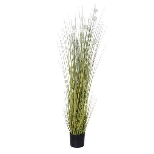 GloboStar® Artificial Garden ERIOPHORUM ANGUSTIFOLIUM COTTON GRASS 20073 Τεχνητό Διακοσμητικό Φυτό Γρασίδι του Βαμβακιού Υ150cm Διακόσμηση - Φωτισμός - Χαλιά GloboStar® Artificial Garden ERIOPHORUM ANGUSTIFOLIUM COTTON GRASS 20073 Τεχνητό Διακοσμητικό Φυτό Γρασίδι του Βαμβακιού Υ150cm Διακόσμηση - Φωτισμός - Χαλιά